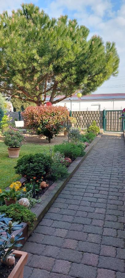 Ferienwohnung Zum Weinberg Гроскарлбах Екстер'єр фото