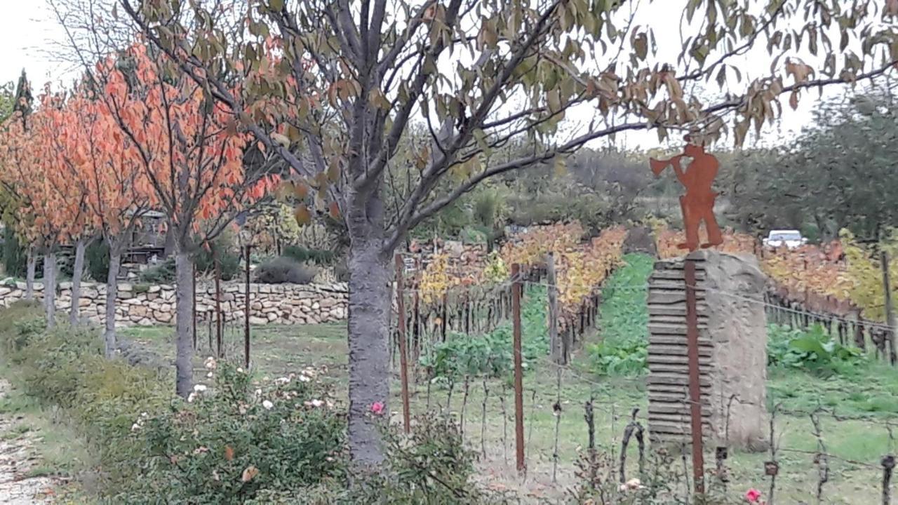 Ferienwohnung Zum Weinberg Гроскарлбах Екстер'єр фото